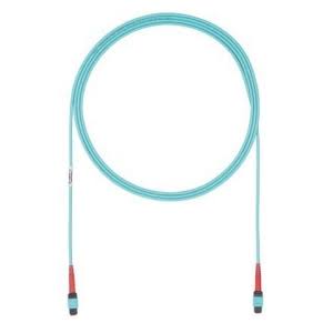 Fiber Optic Network Cable 95 ft Z721
